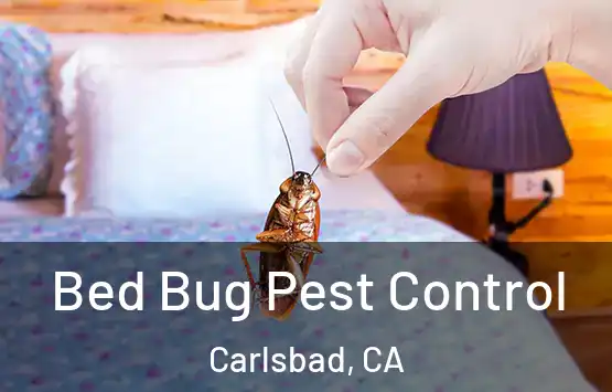  Bed Bug Pest Control Carlsbad, CA