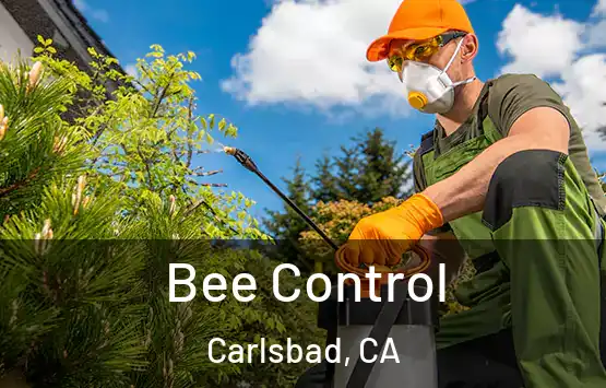  Bee Control Carlsbad, CA