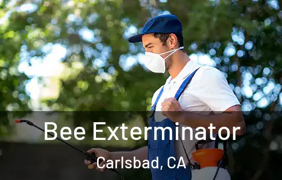  Bee Exterminator Carlsbad, CA