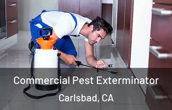  Commercial Pest Exterminator Carlsbad, CA