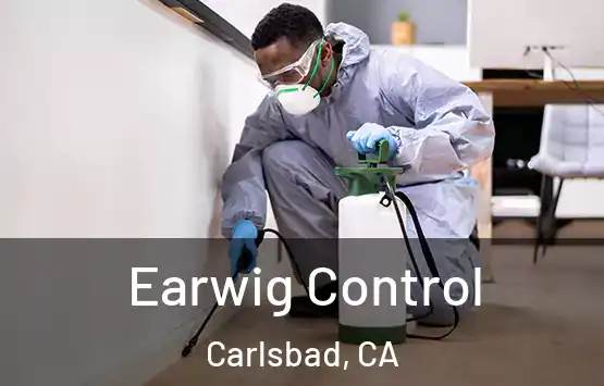  Earwig Control Carlsbad, CA