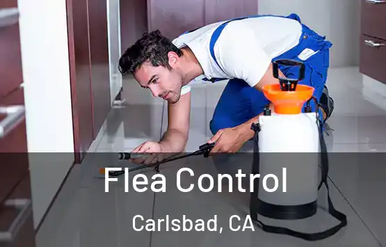  Flea Control Carlsbad, CA