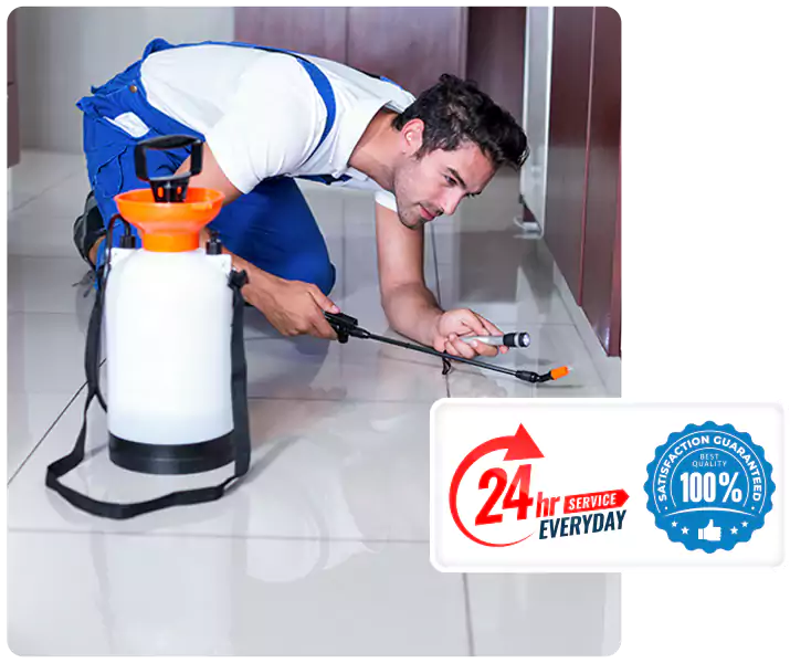 Year-Round Pest Prevention Plans in Carlsbad