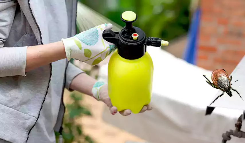 Ticks Pest Control Carlsbad, California