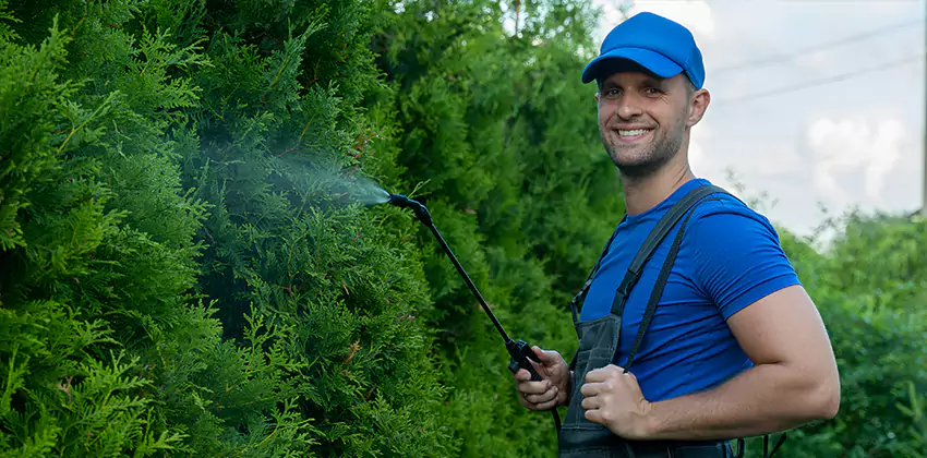 24 Hour Pest Control for Children and Pets Carlsbad, CA