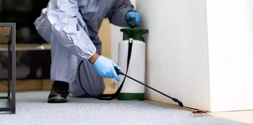 Commercial Pest Control for Offices in Carlsbad, CA