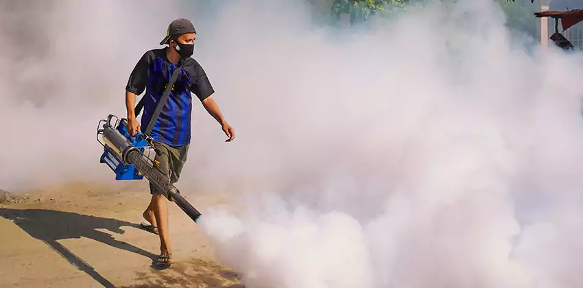 Bedrooms Mosquito Extermination in Carlsbad, CA