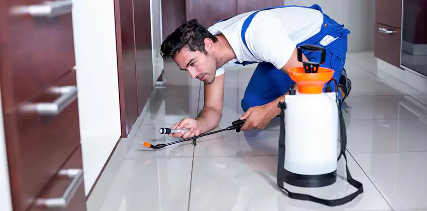 Protect Your Home with Our Pest Inspection Services Carlsbad, CA