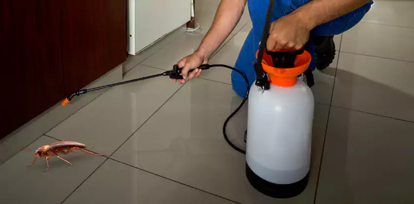 Exclusion and Sanitation Consultation in Carlsbad, CA