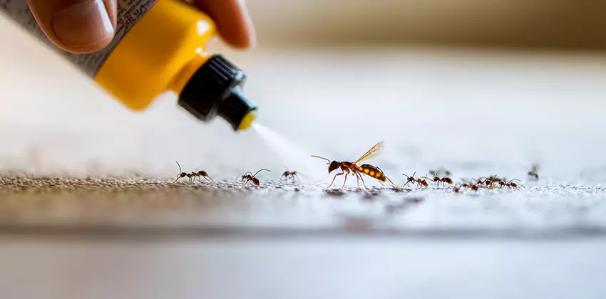 cockroach-pest-control in Carlsbad, CA
