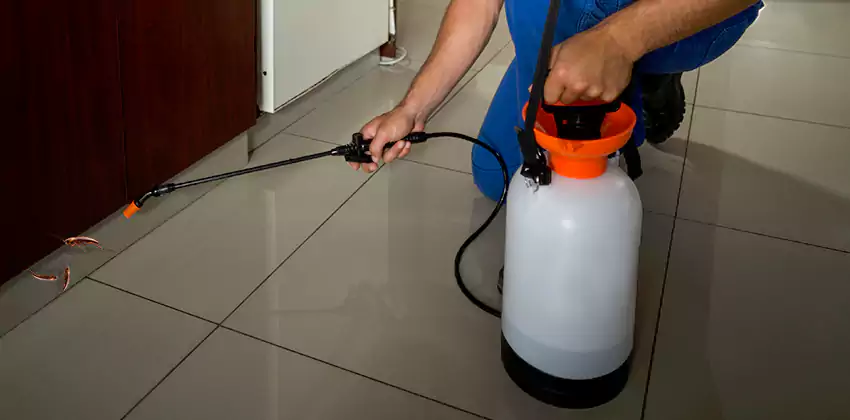 cockroach-treatment in Carlsbad, CA