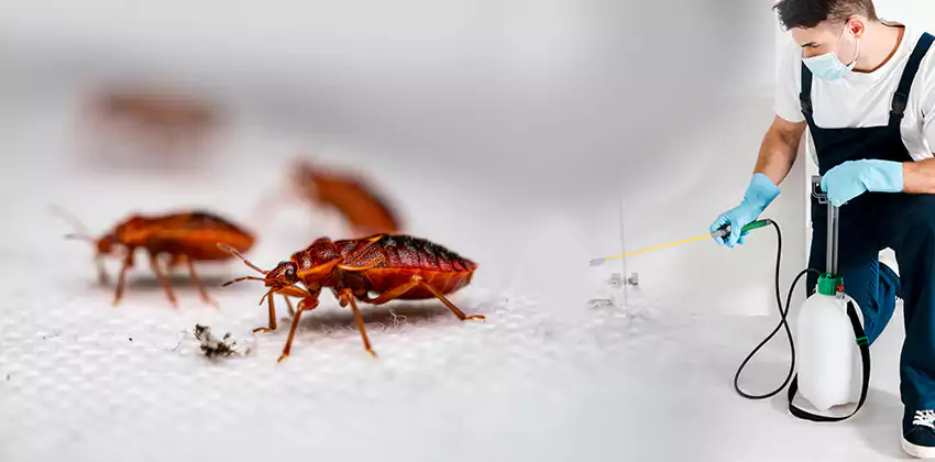 flea-control in Carlsbad, CA