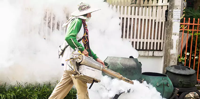 mosquito-exterminator in Carlsbad, CA
