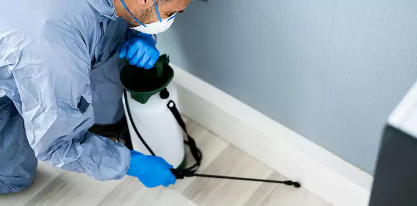 pest-exterminator in Carlsbad, CA