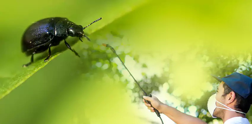 tick-control in Carlsbad, CA