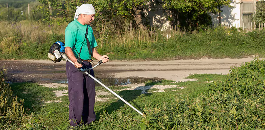 tick-treatment-for-yard in Carlsbad, CA
