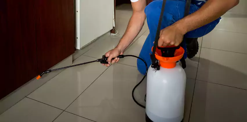 Pest Exterminator Company in Carlsbad, CA