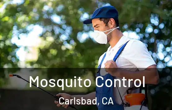  Mosquito Control Carlsbad, CA