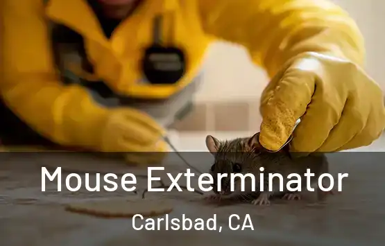  Mouse Exterminator Carlsbad, CA