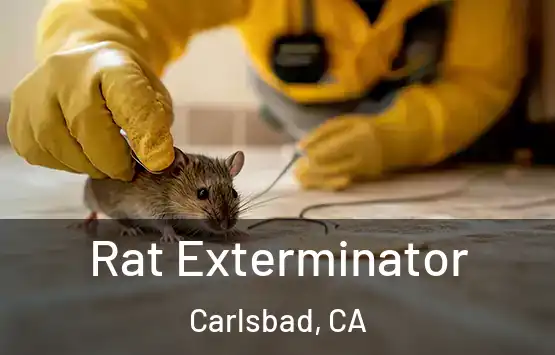  Rat Exterminator Carlsbad, CA