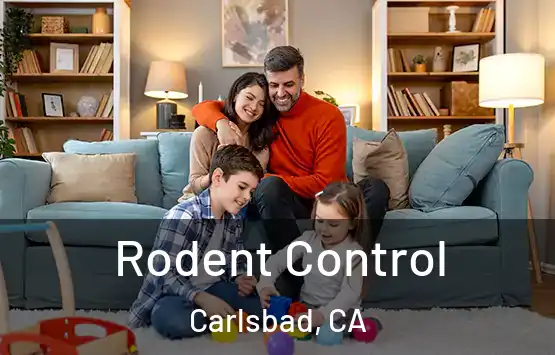  Rodent Control Carlsbad, CA