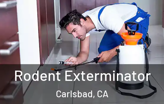  Rodent Exterminator Carlsbad, CA