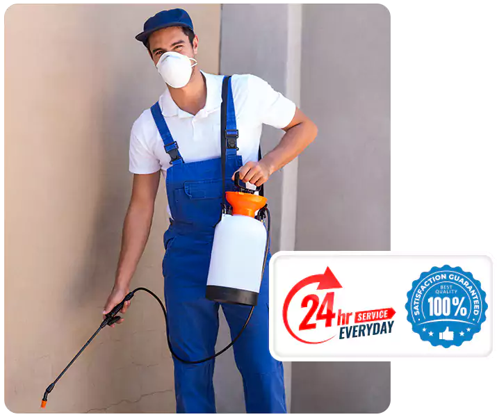 About Flea Exterminator Carlsbad