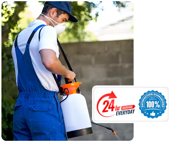 About Pest Inspection Carlsbad