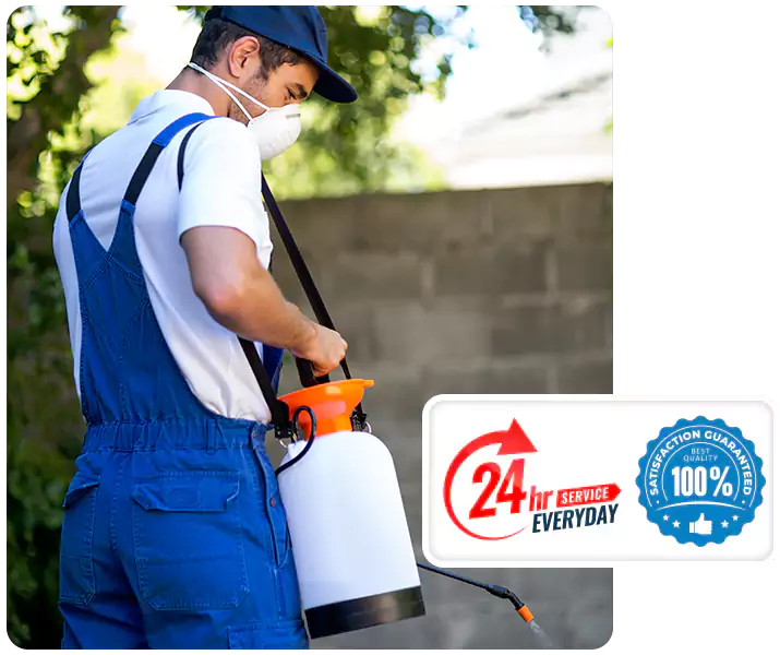 About Termite Inspection Carlsbad