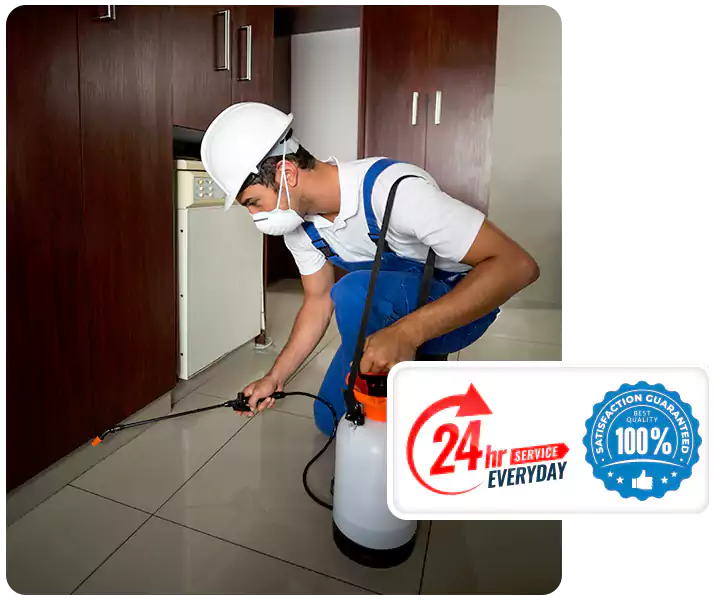 About Termite Treatment Carlsbad