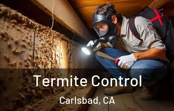  Termite Control Carlsbad, CA