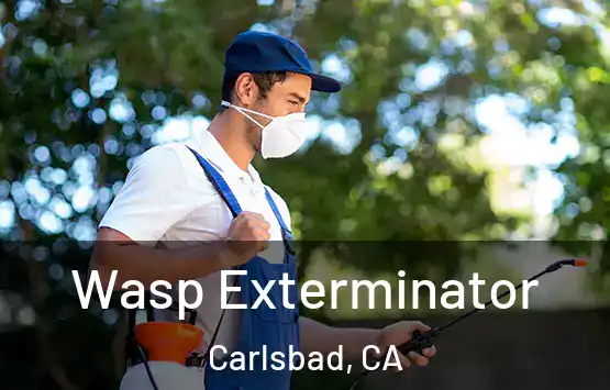  Wasp Exterminator Carlsbad, CA