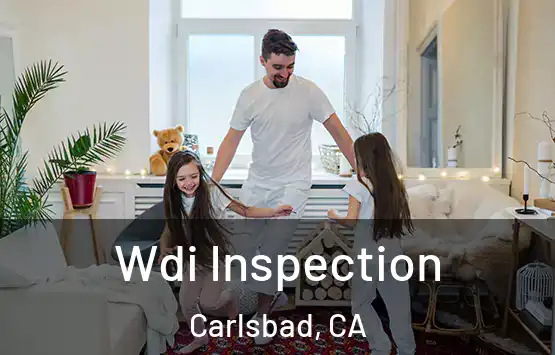  Wdi Inspection Carlsbad, CA